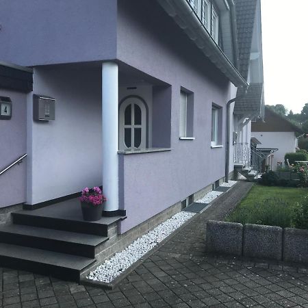 Ferien-/Monteurwohnung Am Ring Steinau an der Straße 外观 照片